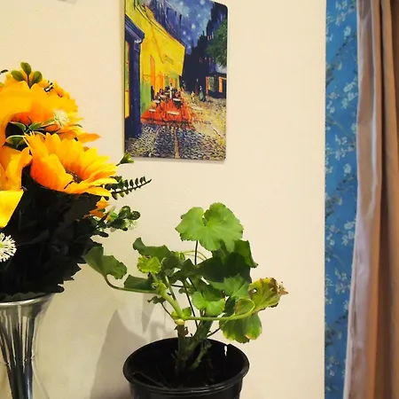 Notte Stellata Su Apartament